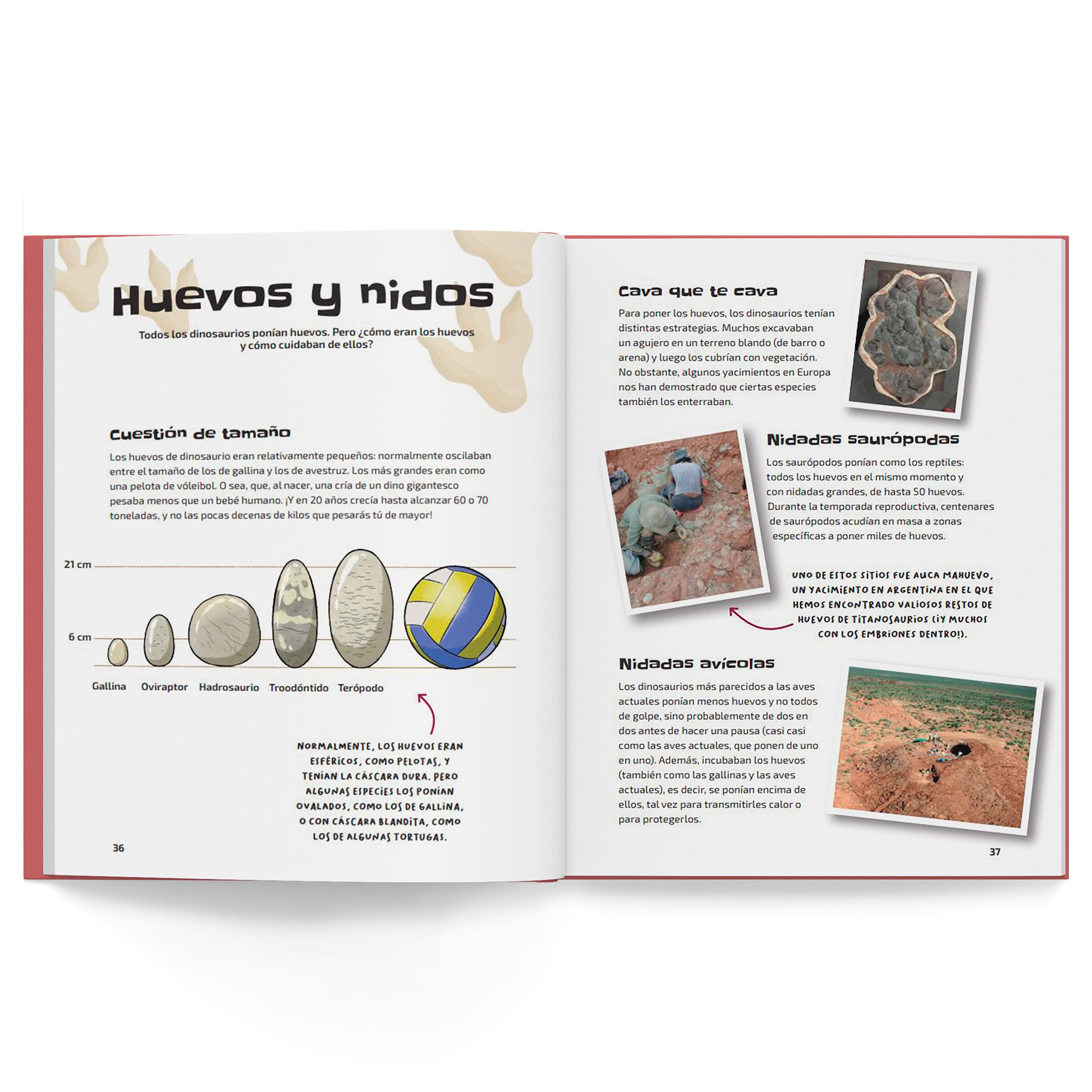 Dinosaurios - Imagen 3